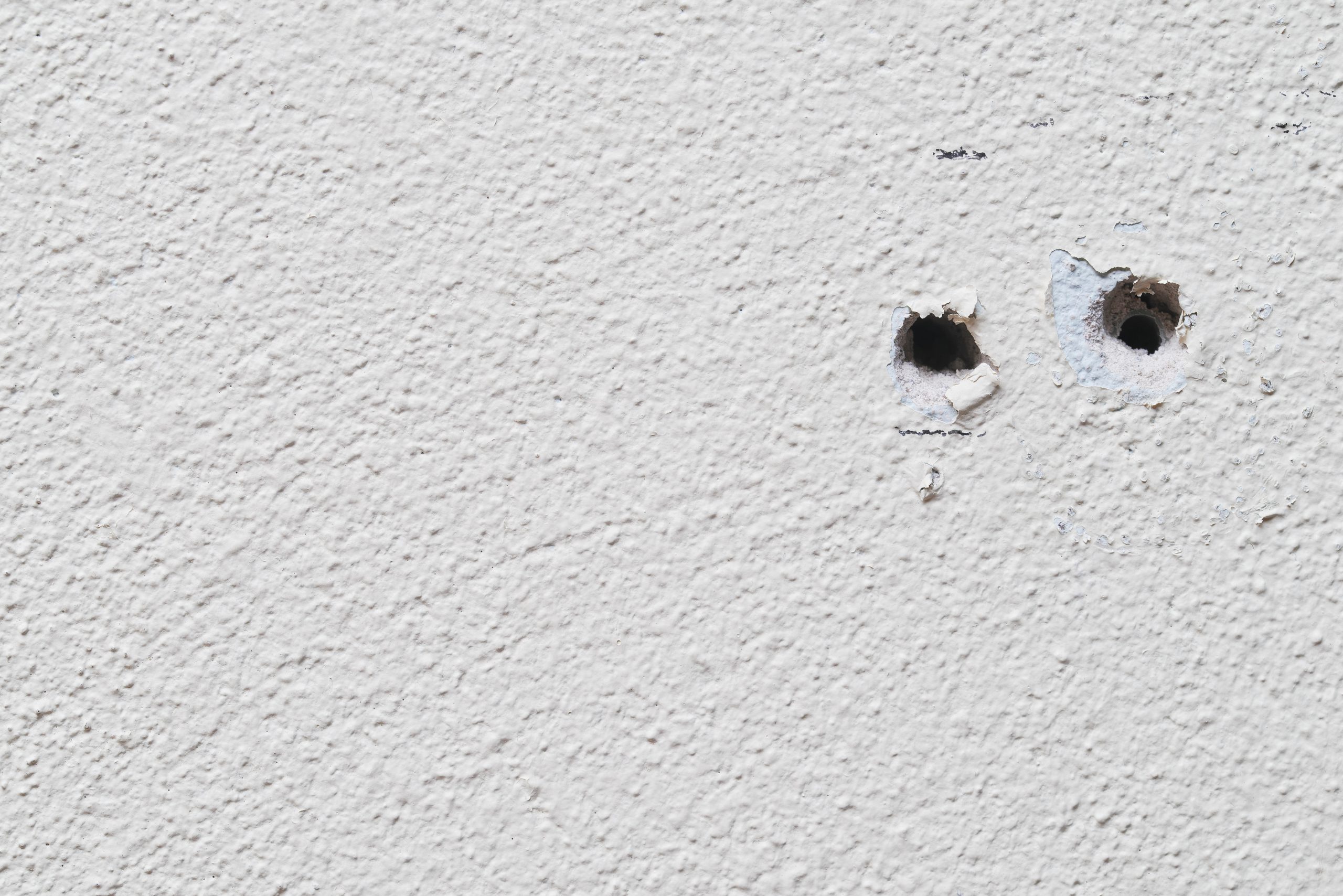 Wie entfernt man Dübel aus der Wand? Anleitung & Expertentipps